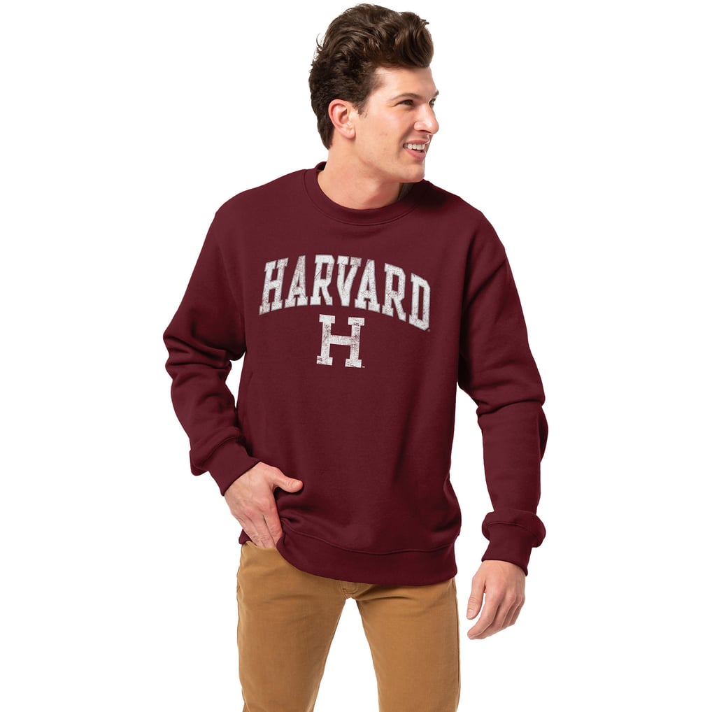  Harvard Crimson League Collegiate Wear Essentials 2.0 Pullover Sweatshirt - Crimson
